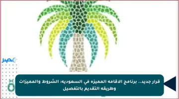 قرار جديد.. برنامج الإقامة المميزة في السعودية: الشروط والمميزات وطريقة التقديم بالتفصيل